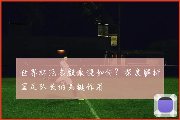 世界杯范志毅表现如何？深度解析国足队长的关键作用