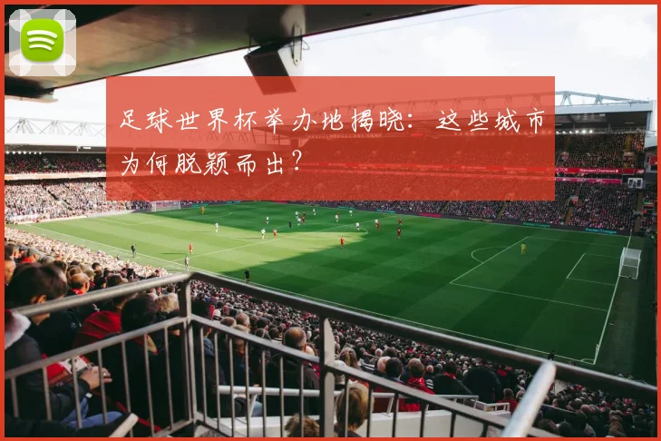 足球世界杯举办地揭晓：这些城市为何脱颖而出？